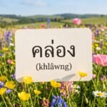 Daily Thai Confidence — Using คล่อง (khlâwng)