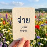Daily Thai Confidence — Using จ่าย (jàai)