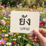 Daily Thai Confidence — Using ยัง (yāng)