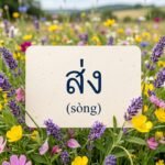 Daily Thai Confidence — Using ส่ง (sòng)