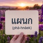 Daily Thai Confidence — Using แผนก (phà-hnàek)